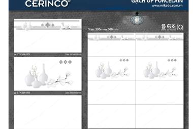 Gạch đá Porcelain 30cmx60cm trắng trắng vân khói PN TTN CTN 36011