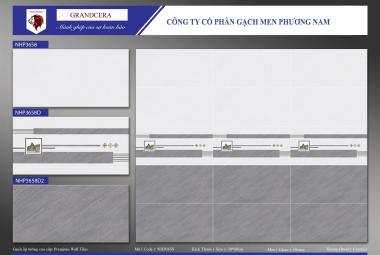 Gạch men Ceramic 30cmx60cm trắng xám sọc PN HP NHP 3658
